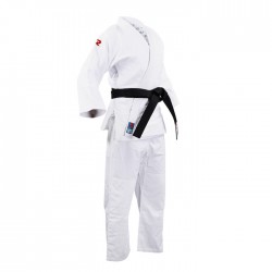 FIGHTART BUSHI