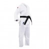 FIGHTART BUSHI