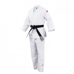 FIGHTART BUSHI